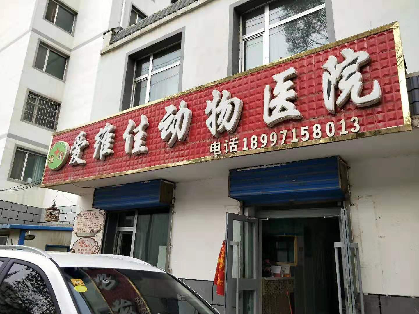 寵物醫(yī)院客戶11