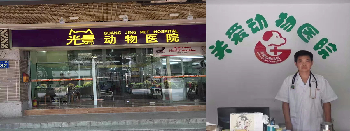 優(yōu)質(zhì)寵物醫(yī)院客戶12